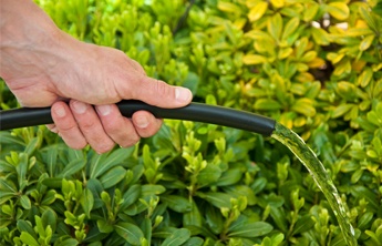 DIG-flush-the-line flush the line